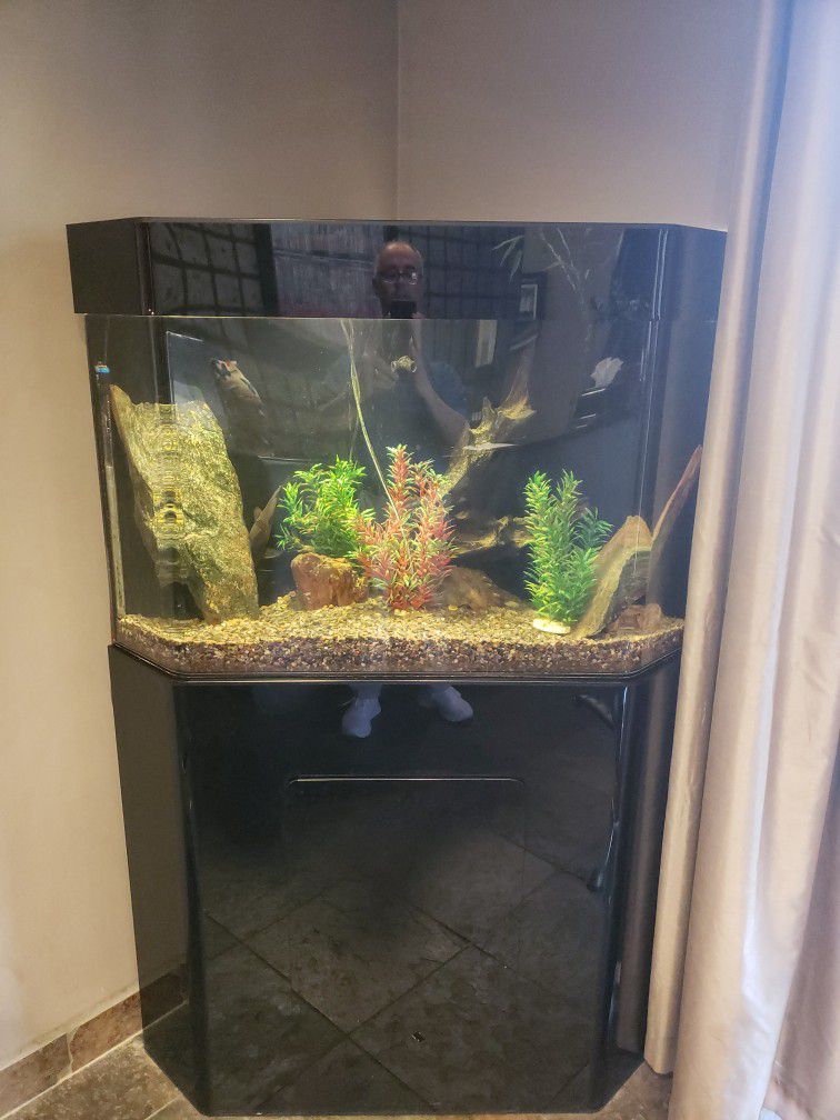 Fish Tank Corner Acrylic  Custom