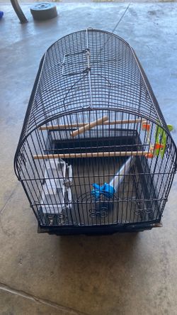 Bird Cage