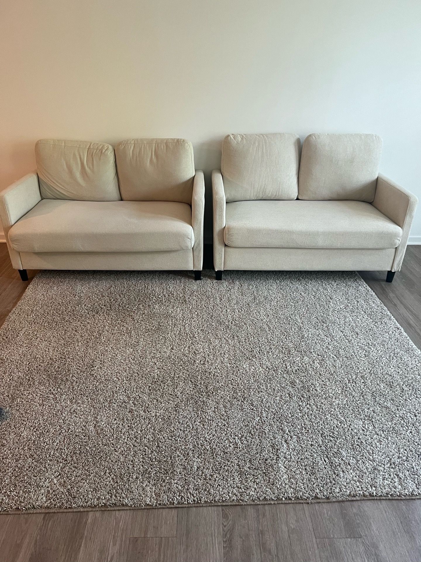 2 Love seats and Rug