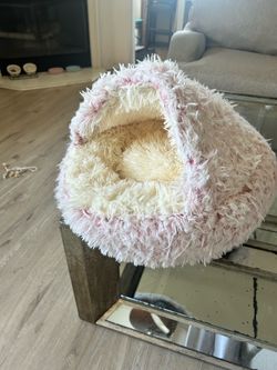 Cat Bed