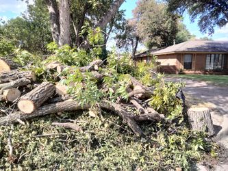 FREE FRESH CUT BBQ Pecan Wood