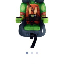 Ninja Turtle Carseat