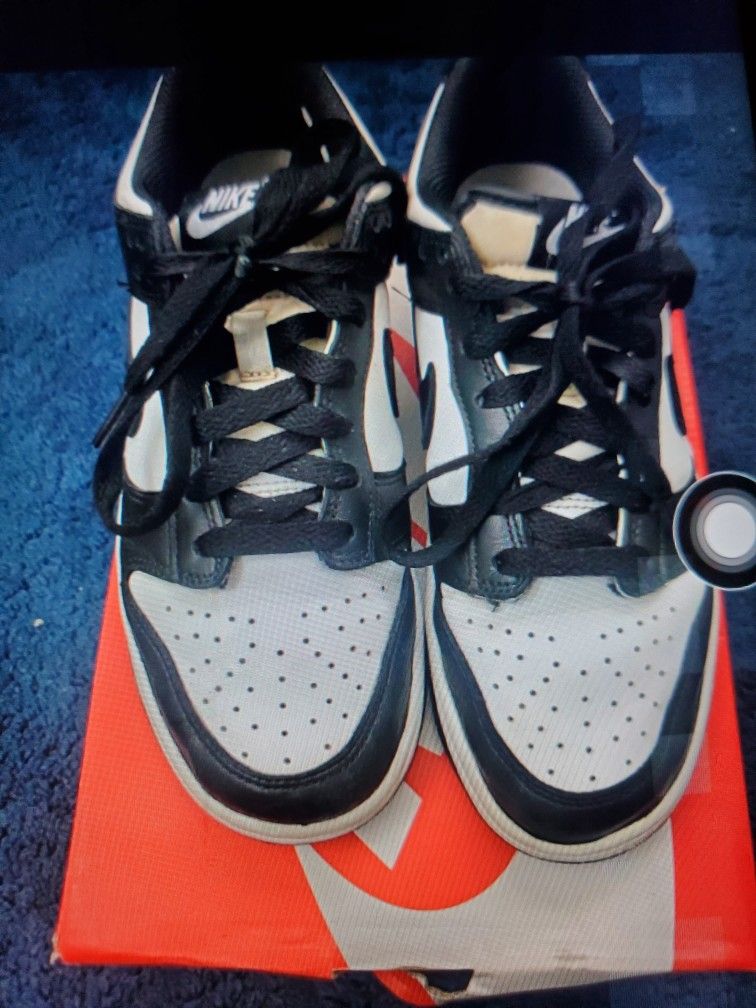 Kids Panda Nike Dunks