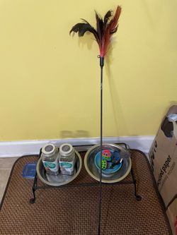 Cat starter kit
