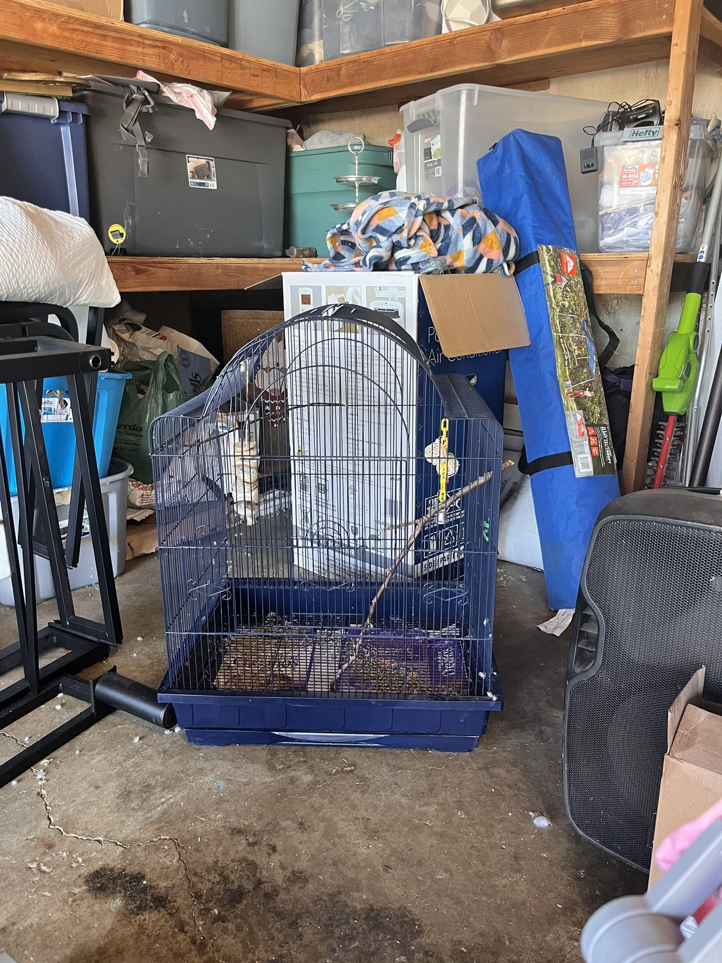 Bird Cage