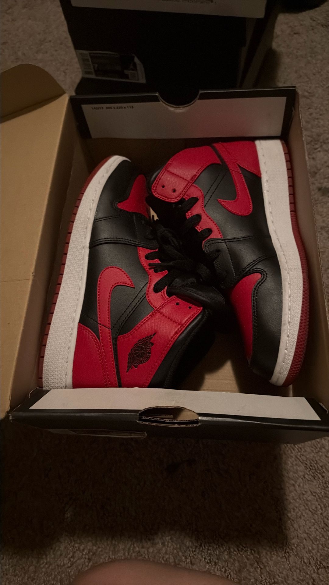 mid Jordan 1