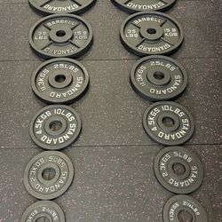 Brand New Full Metal Olympic Weight Plate Set