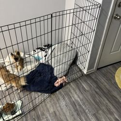 Dog Exercise Play Pin With Door