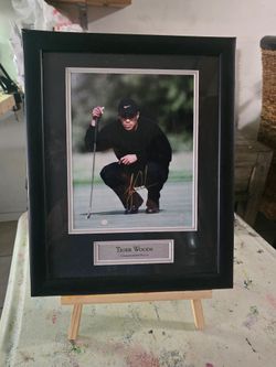 Tiger Woods Golf Championshisp focos Upper Deck Signature Framed