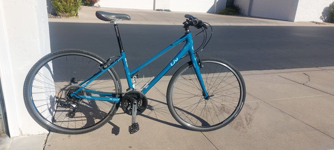 Giant Hybrid Bike