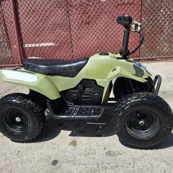 Razor 24v Dirt Quad