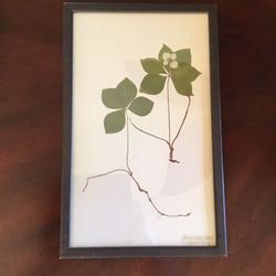 Botanical Leaf Art by Kristina Fine Wall Decor Print