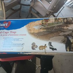 TRAMPA 🪤 PARA ANIMALES , 🐿️