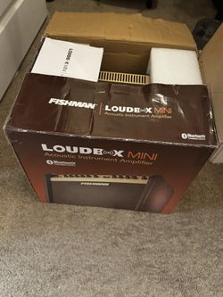 Acoustic Guitar Amp Loudbox Mini