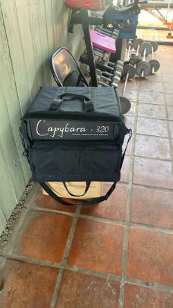 Capybara 320 Sound Computation Engine 