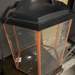 20 Gallon Glow Tank 