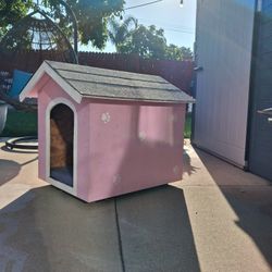 DOG HOUSE 