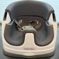 Ingenuity Baby Base 2-in-1 Seat