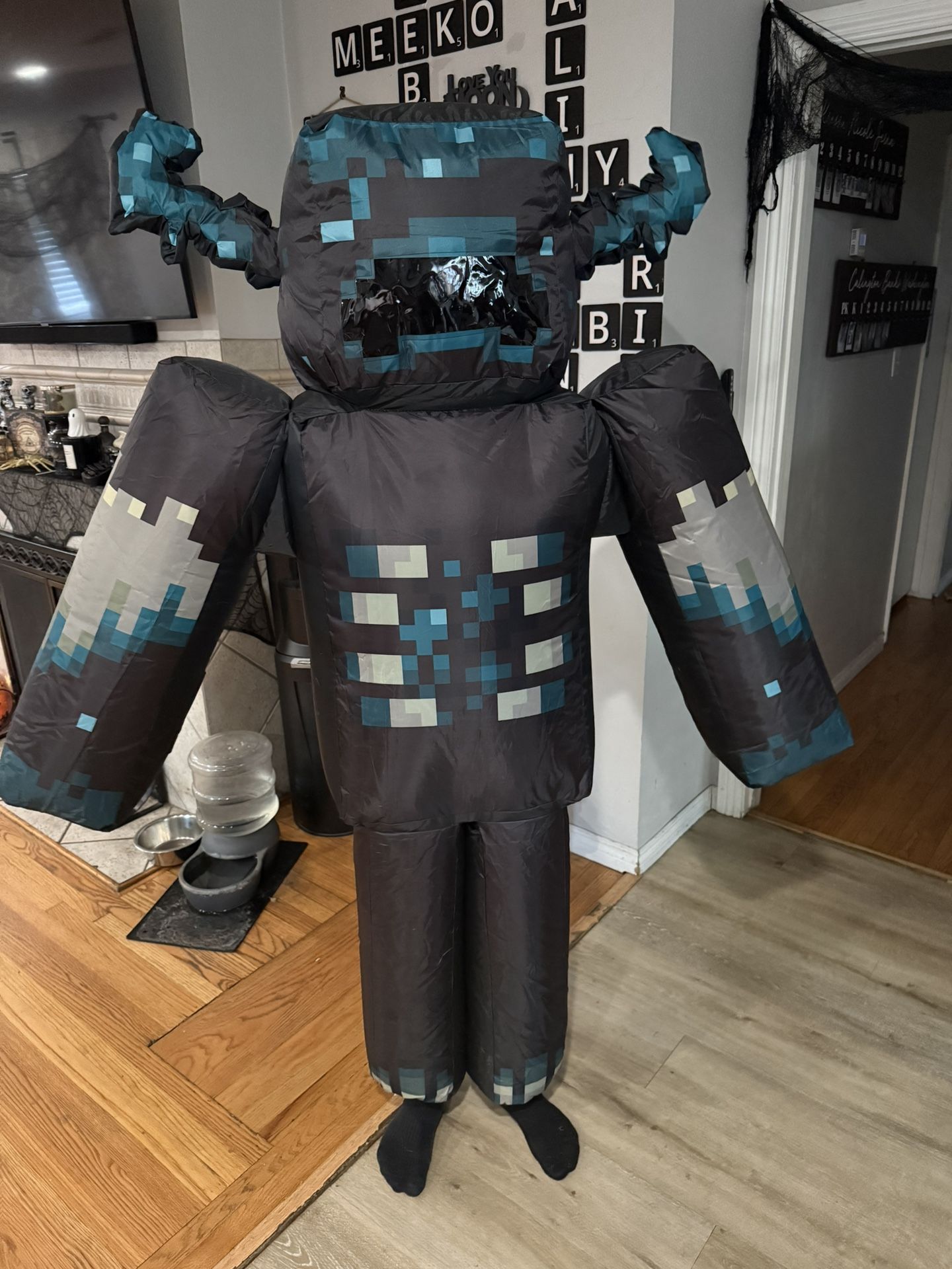 Inflatable Mindcraft Costume