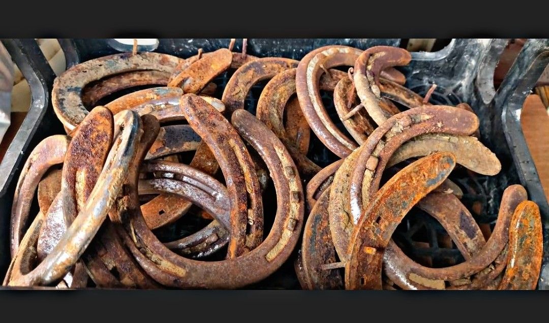 Steel Horseshoes for Sale in Laughlin Air Force Base, TX OfferUp