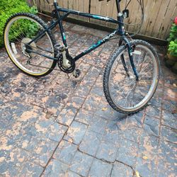 Murray Bike Size 26"