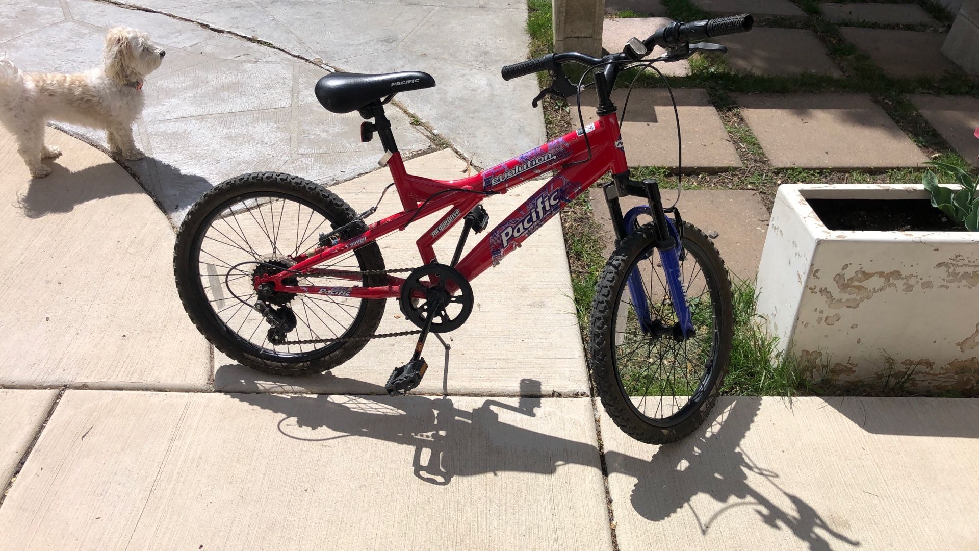 Pacific Mountain Bike
