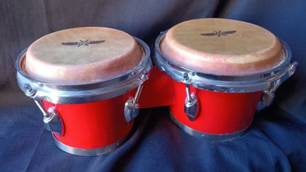 Percussion bongos