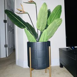 Decorative Plant & Stand Set