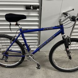 Raleigh Bicycle In Good Condition $160
