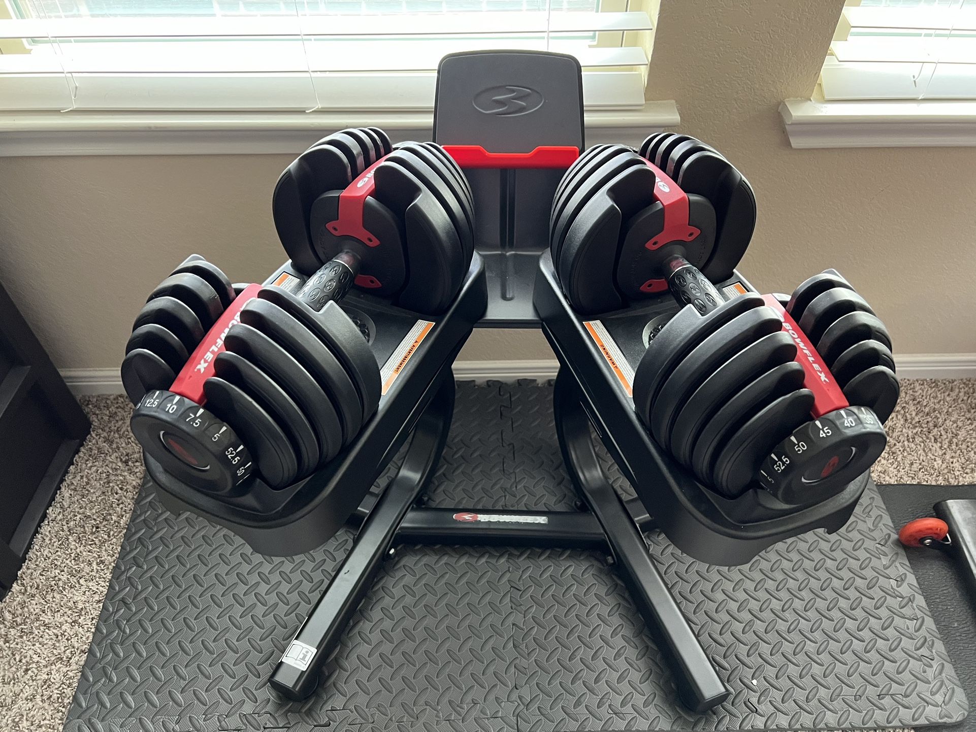 Bowflex 552 Dumbbell Set With Stand