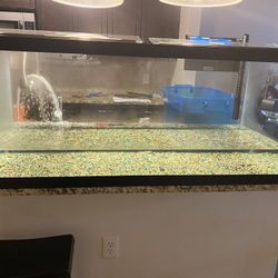 75 Gallons Fish Tank 