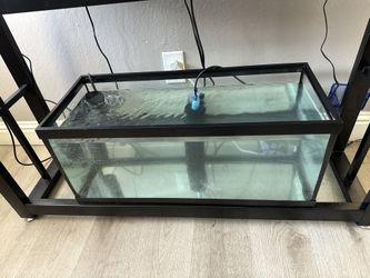 20 Gallon Long Tank