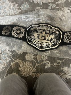 World wrestling entertainment