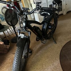 2025 Rad Power Bike – Barely Used – Like New!