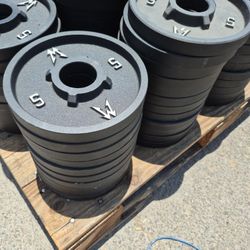 Custom 5lb and 2.5lb Deep Dish Iron Barbell Weights