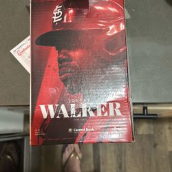 Jordan Walker Bobble head 
