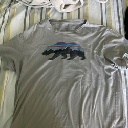 2 Mens Patagonia shirts (Medium)