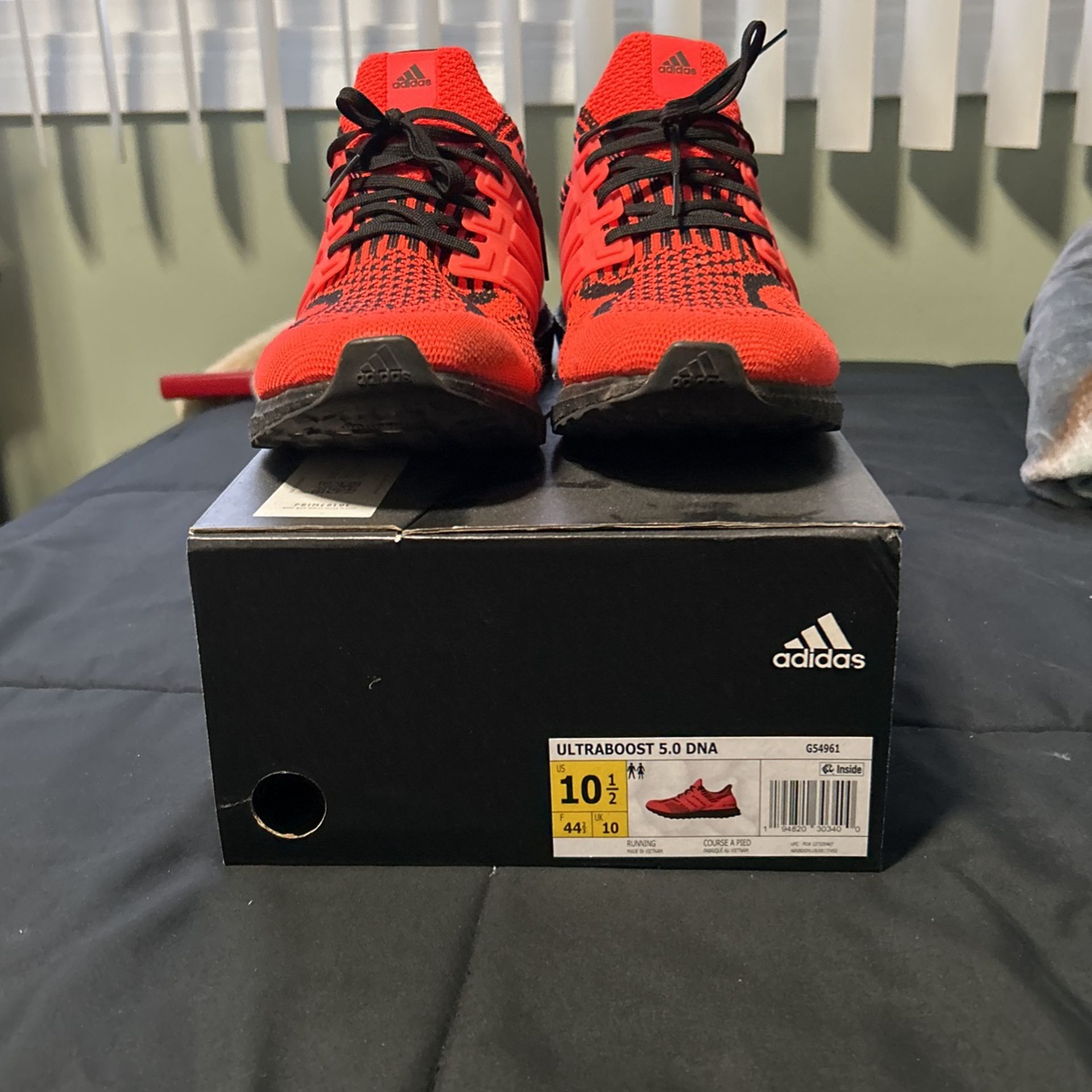 Adidas Ultraboost 5.0 (size 10.5)