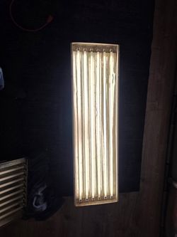 T5 grow light