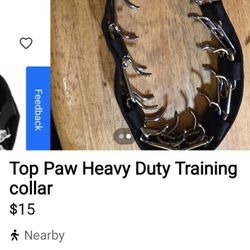 Dog Training Collar