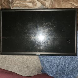 19" Vizio