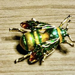 Vintage bug brooch , gold, and green