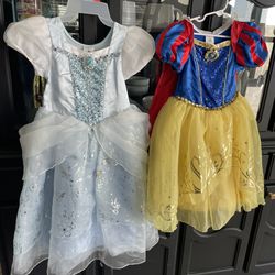 Disney Princess Costumes For Little Girl 