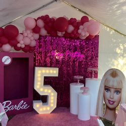 🤩 📸 BARBIE THEME SET-UP 🤩 📸