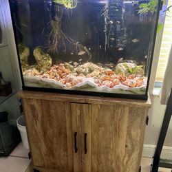 Glass Aquarium Fish Tank With Furniture / Pecera with Wood Stand