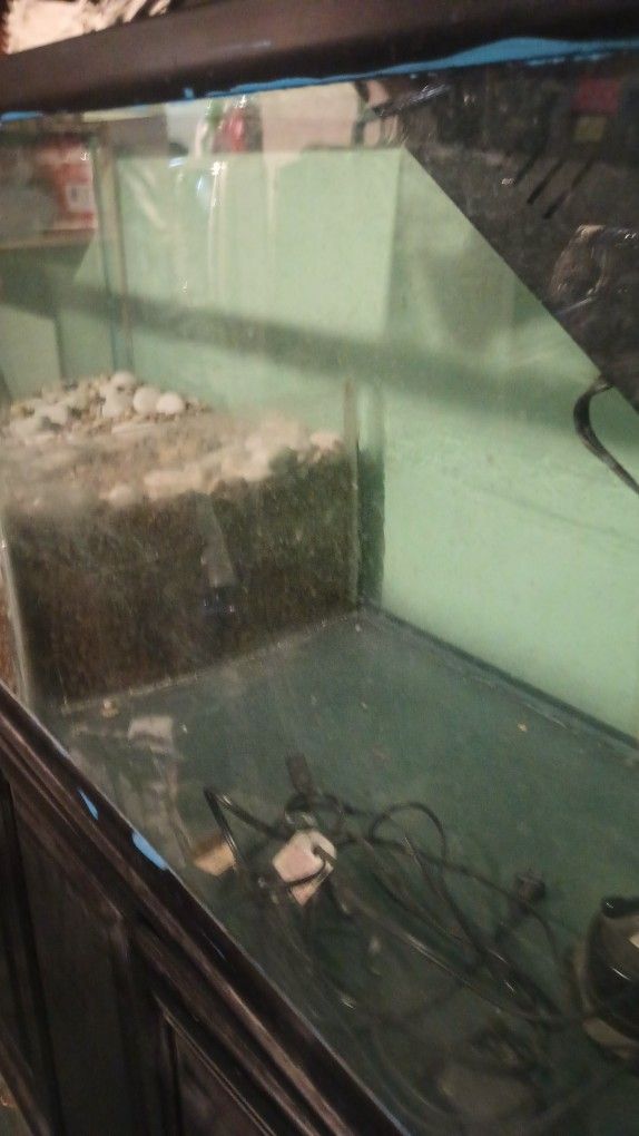 Fish Or Reptile Tank