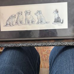 Cute Print. Four Pups With A Cat  By Judy Rosalie