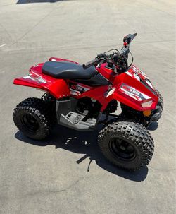110cc RXR110 ATV Quad - $550