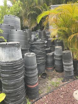 Nursery Pots 3 G $0,50 7 G $2