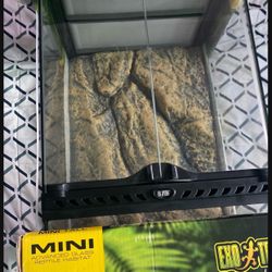 Reptile Enclosure Setup
